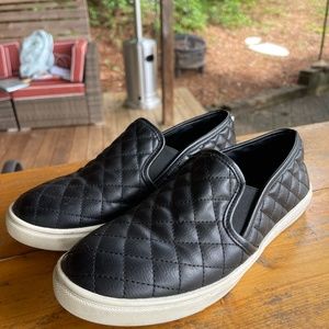 Steve Madden ecentrcq sneaker shoes